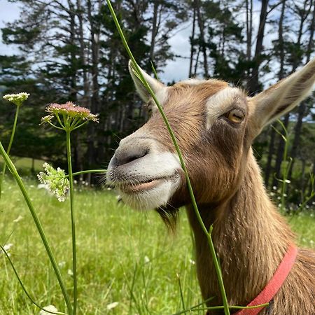 Pukeatua Farmstay Waimauku Kültér fotó
