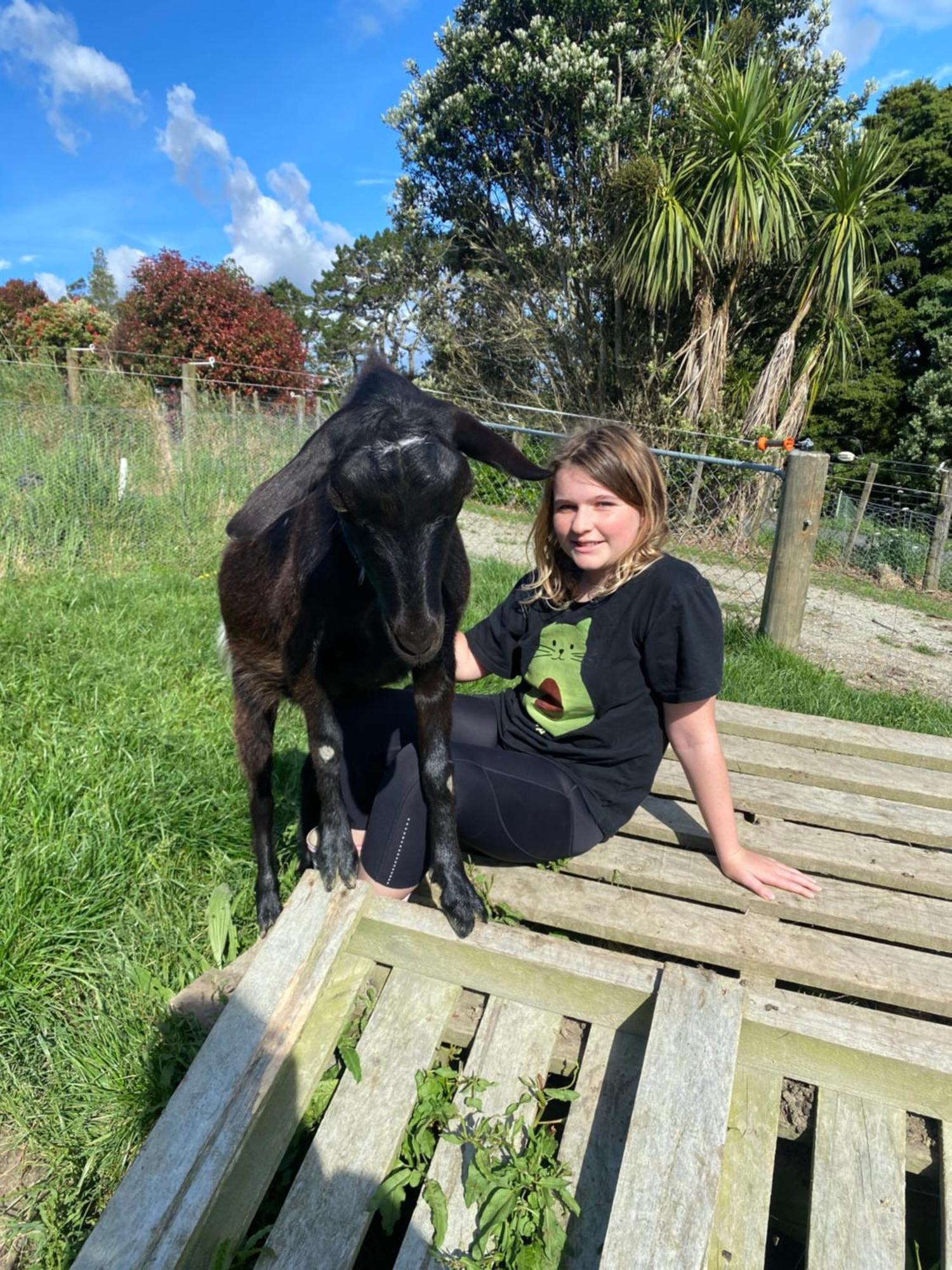 Pukeatua Farmstay Waimauku Kültér fotó