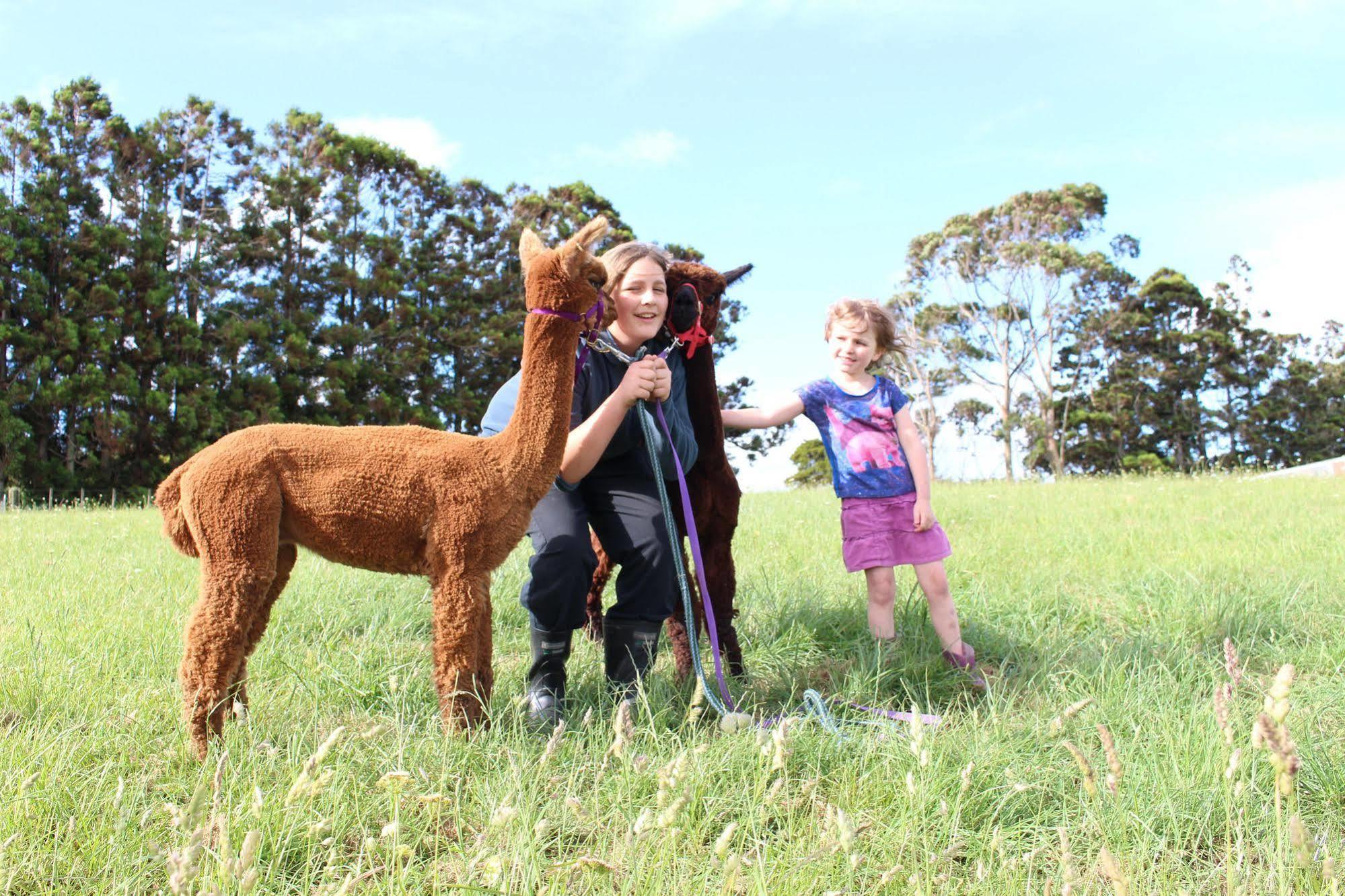 Pukeatua Farmstay Waimauku Kültér fotó